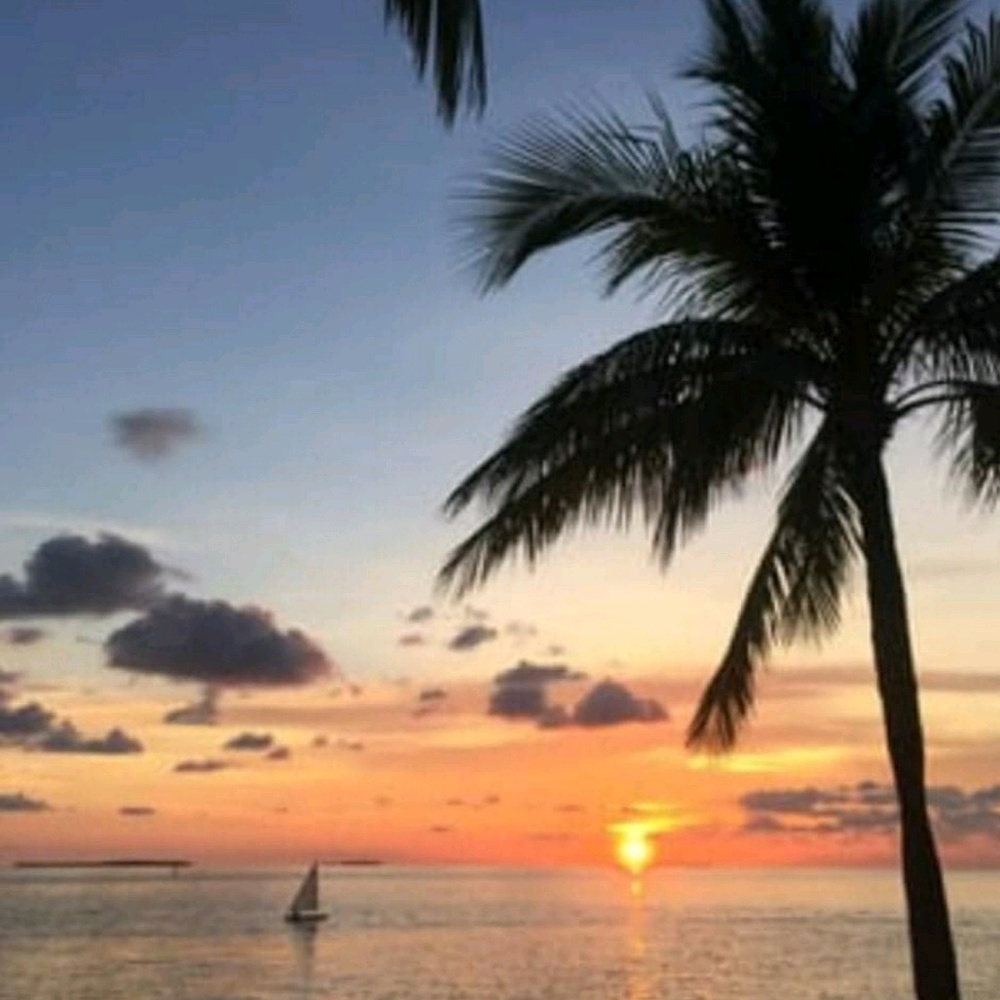 Meet your Posher, Meegs